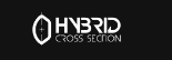 Hybrid Cross-Section